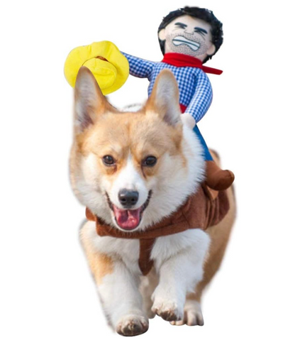 Cowboy Rider Dog Costume